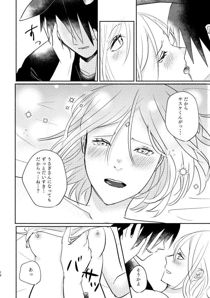 Usagi-san no Sasuke-kun to Kainushi no Sakura-chan - Page 17
