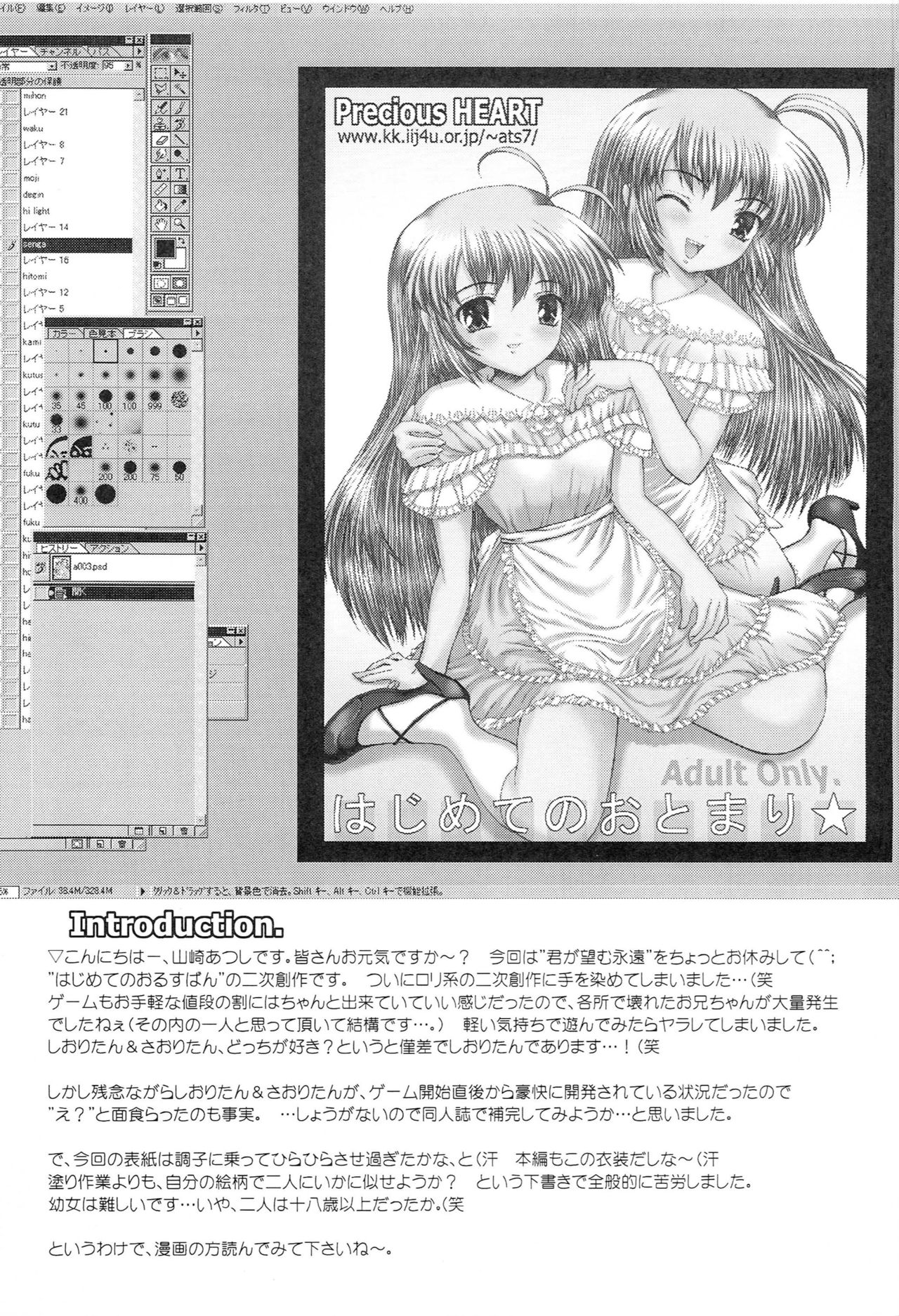 Preview page 2
