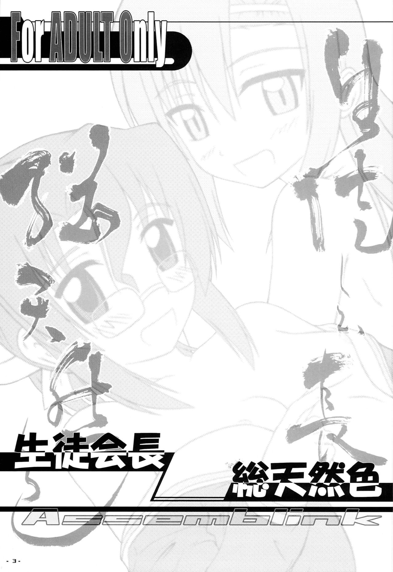 Preview page 2