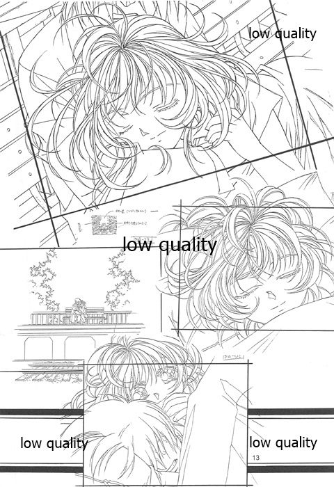 Flutter of birds 線画集 - Page 12