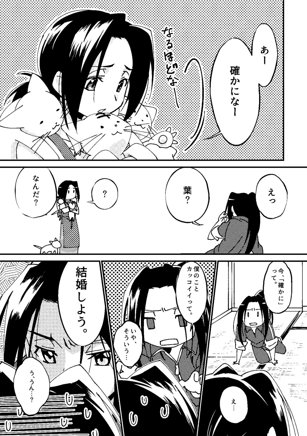 Boro Goya HaoYoh Sairokushuu - Page 19