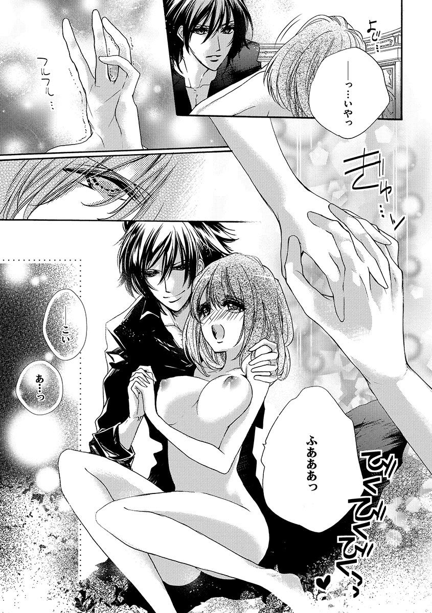 鬼畜兄弟の悶絶調教～私はいいなり奴隷～ - Page 109