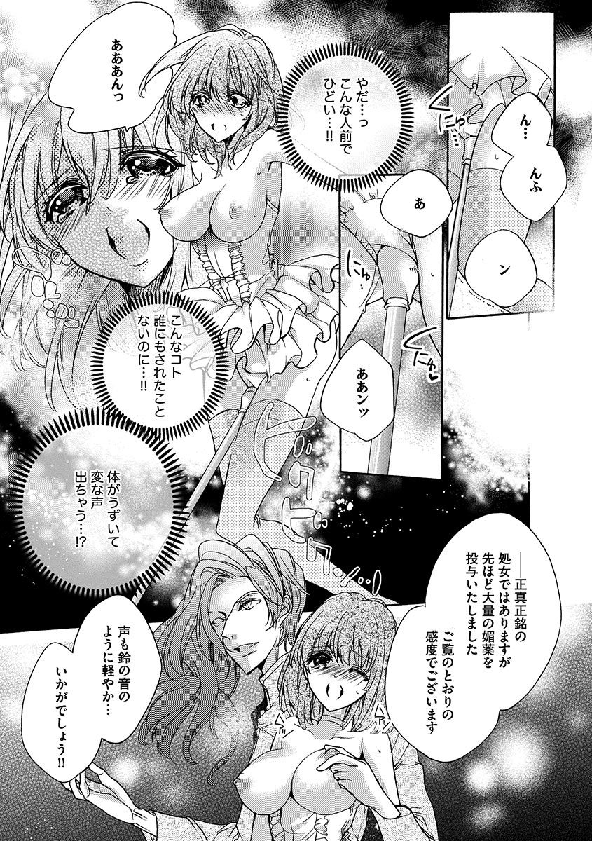 鬼畜兄弟の悶絶調教～私はいいなり奴隷～ - Page 13