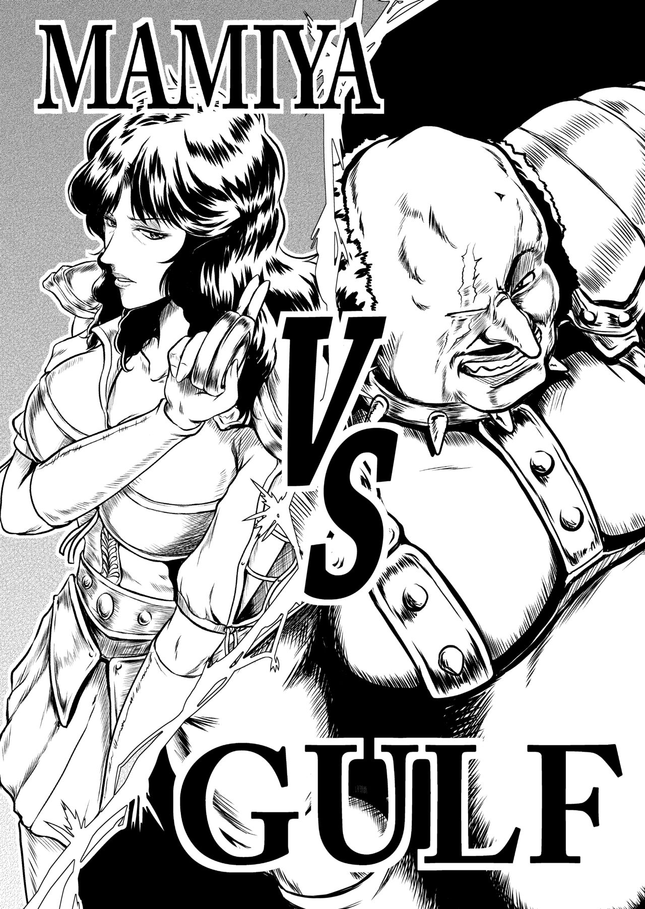 Shin Mamiya Musou - Page 13