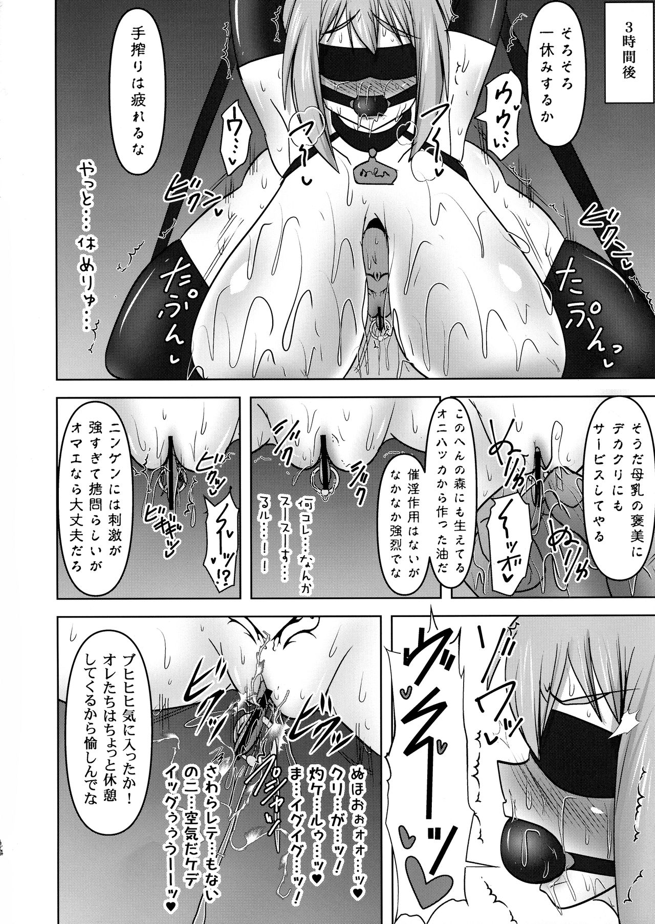 Koujun Senhime Elsain VANQUISHED SHIELD 3 - Page 14