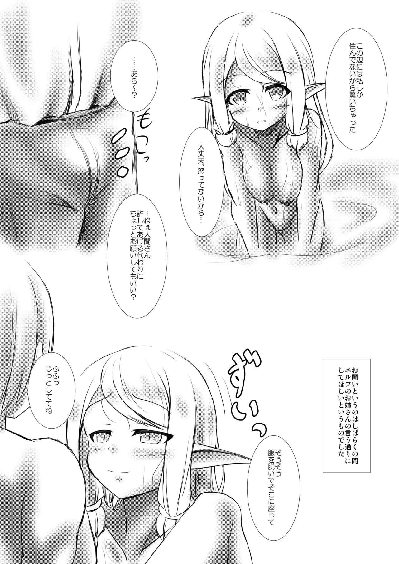 Elf Musume to no Kouryuu Seikatsu - Page 27