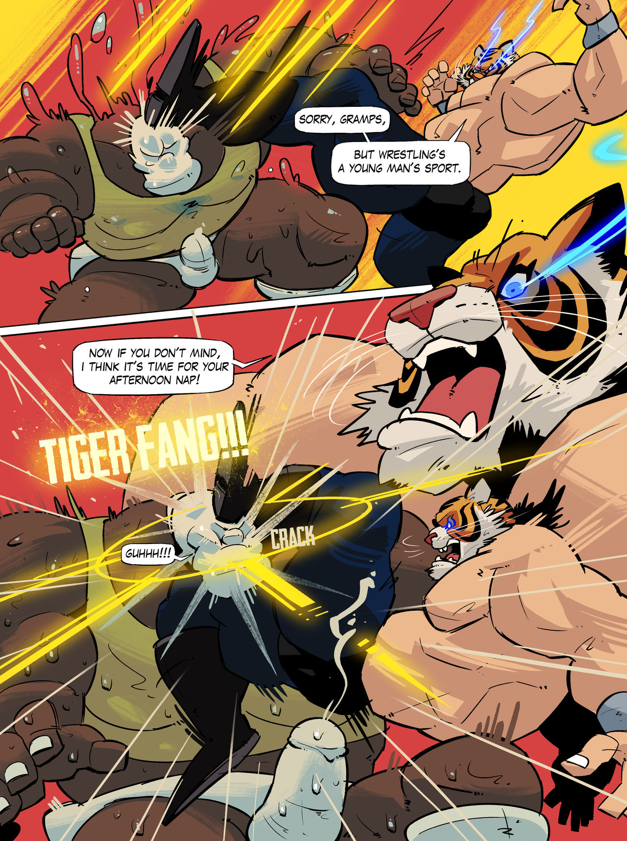 Tigermask X HD - Page 13