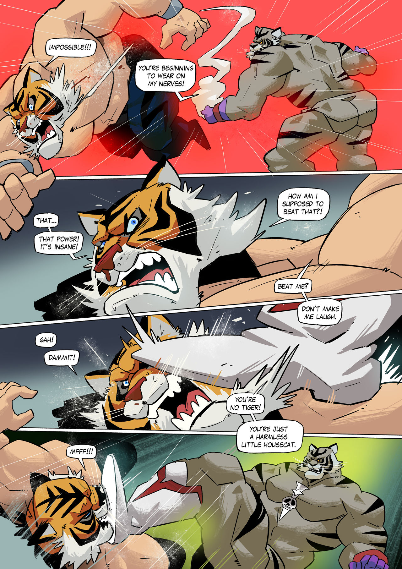 Tigermask X HD - Page 21