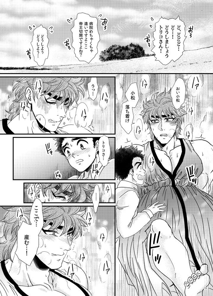 Toriko-san Ga Ninshin Shussan Suru Hon - Page 20