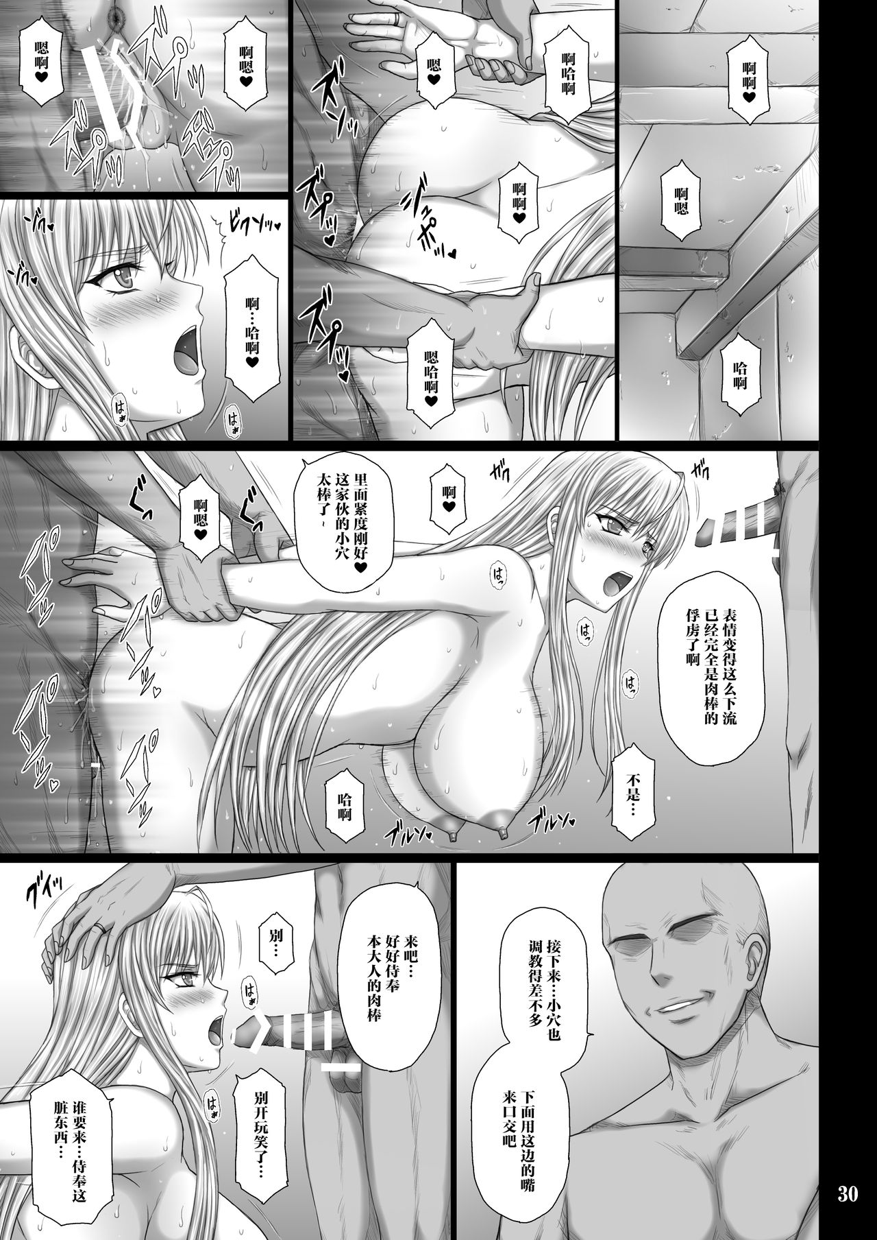 Seido no Chigiri VALKYRIA SLAVE - Page 30