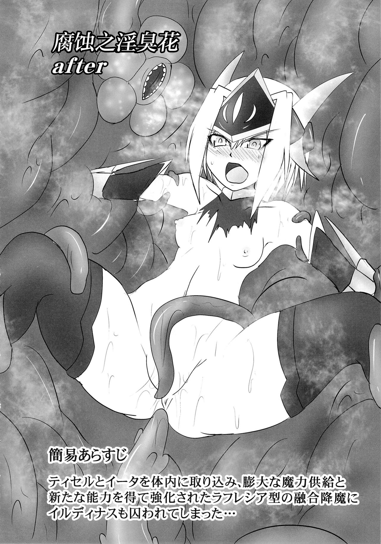 Shield Knight Elsain Vol. 17 Injuu no Jukokuin - Page 27