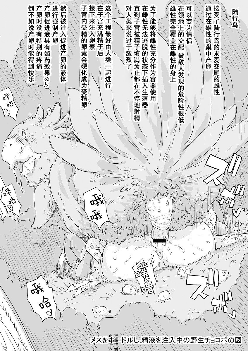 Onee-san no Manga - Page 17