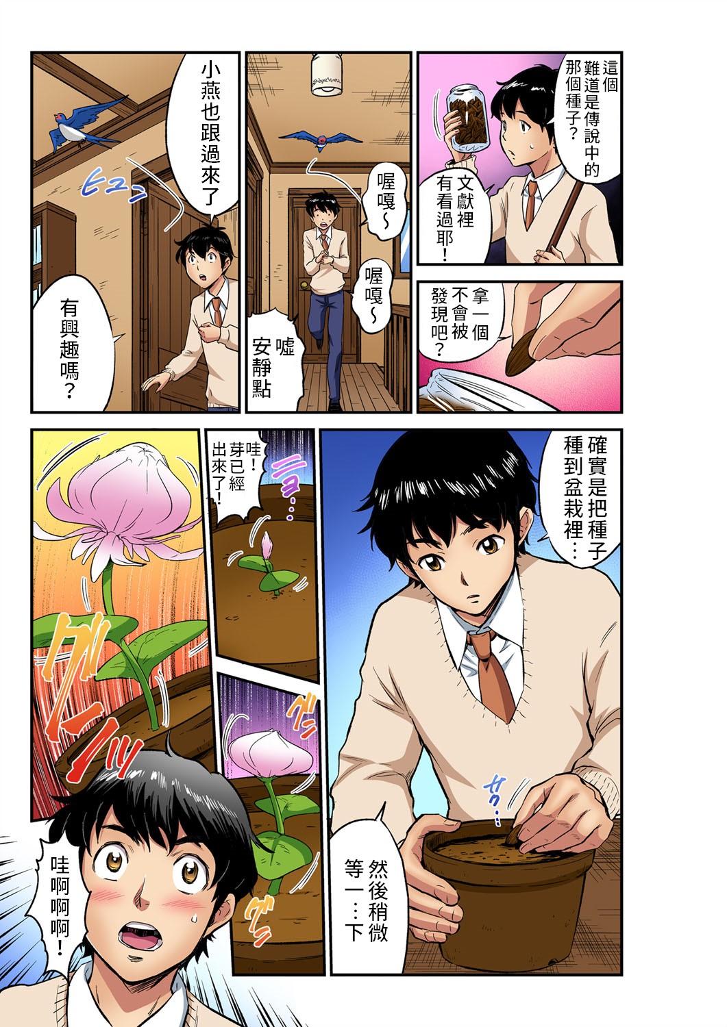 Preview page 4