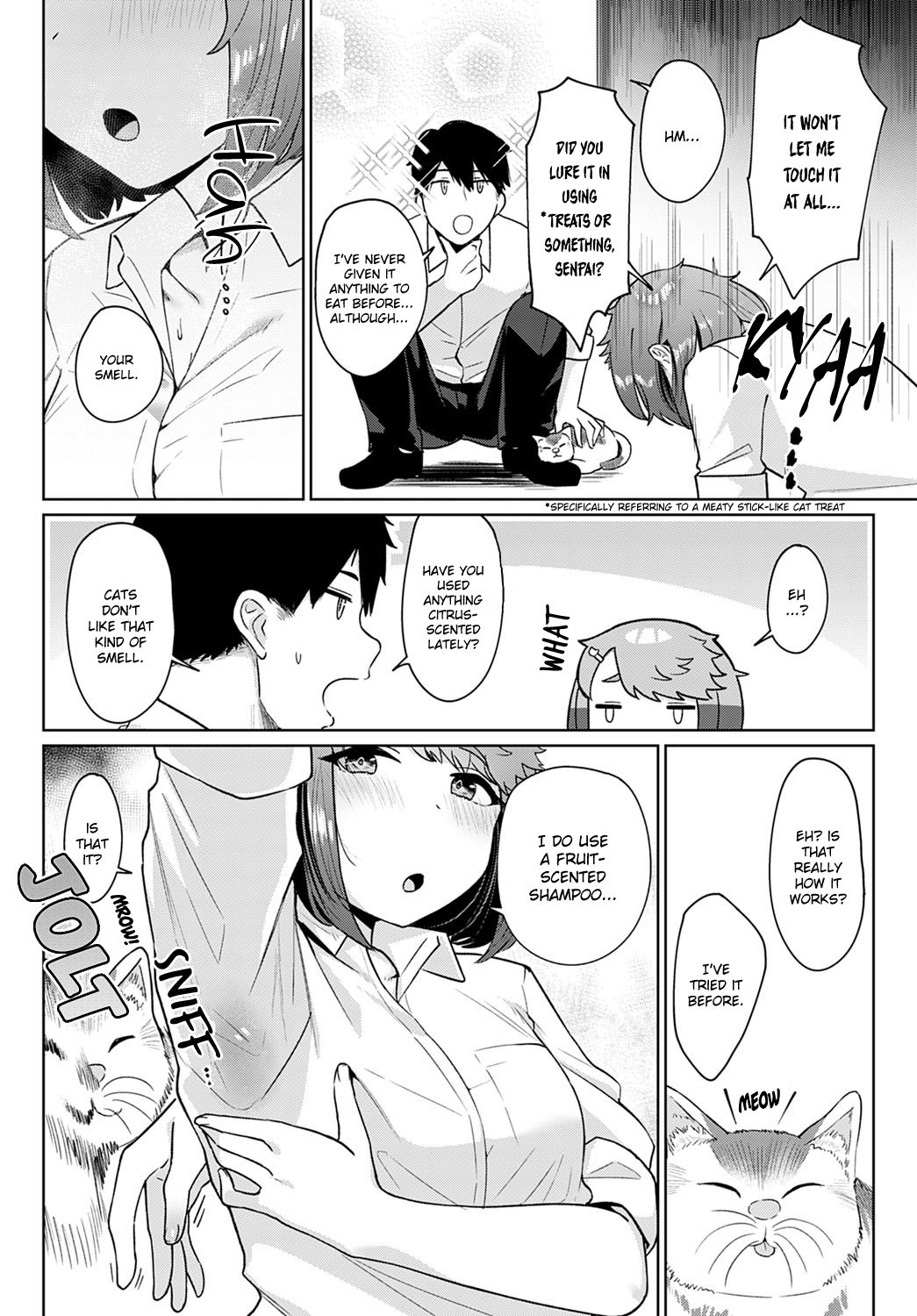 Neko nochi Amayadori - Page 3
