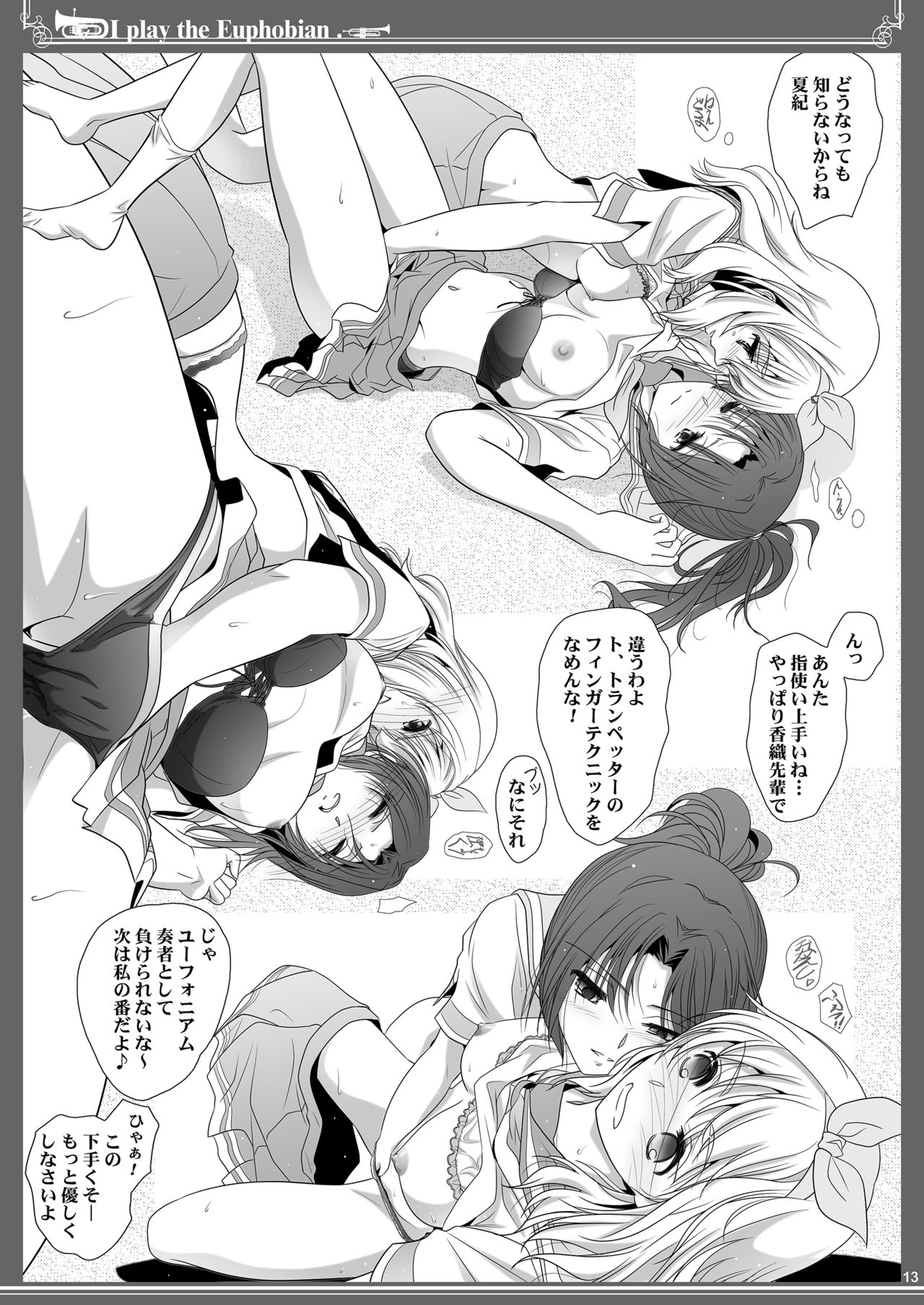 Euphobian no Hibiki: Quintent - Page 13