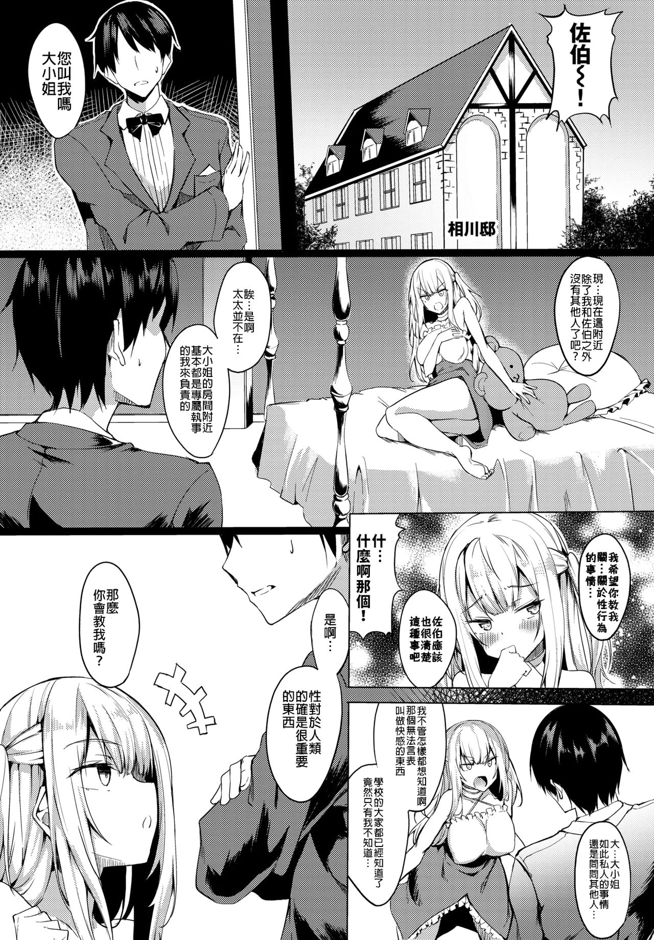 Ojou-sama mo Ecchi ga Shitai - Page 3