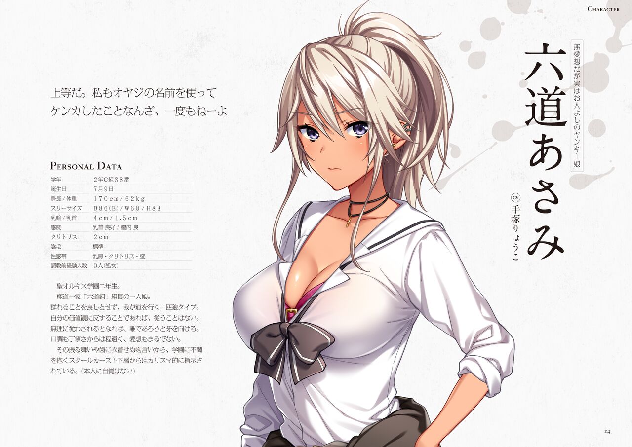 Seidorei Gakuen 2 Original Digital Art Collection - Page 24