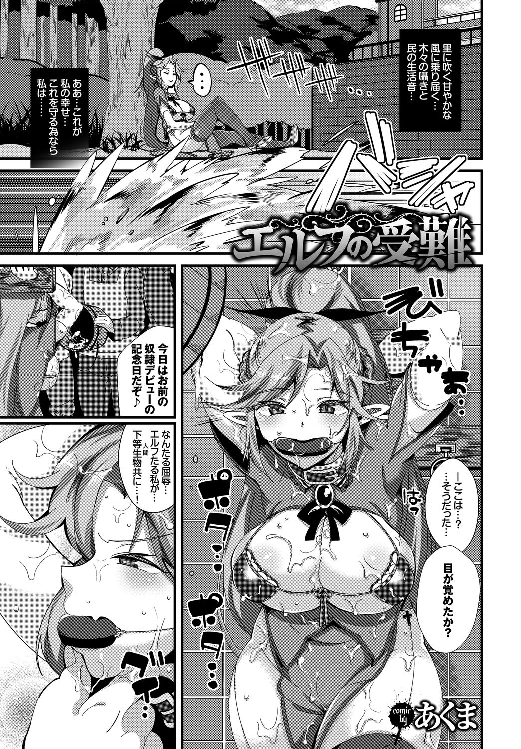 Fetishism Vol. 5 ~Fantasy Ryoujoku Hen~ - Page 41