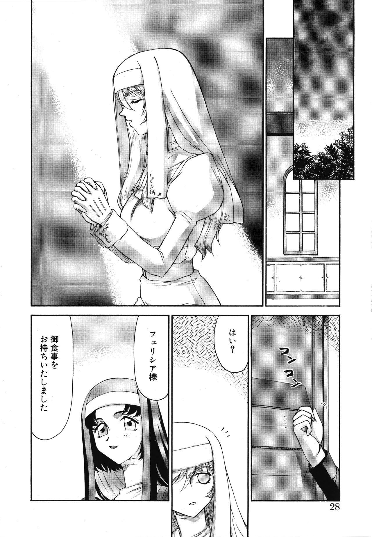 Seioujo Felicia Jou - Page 28