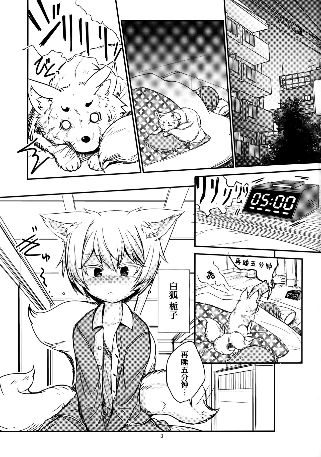 Preview page 3