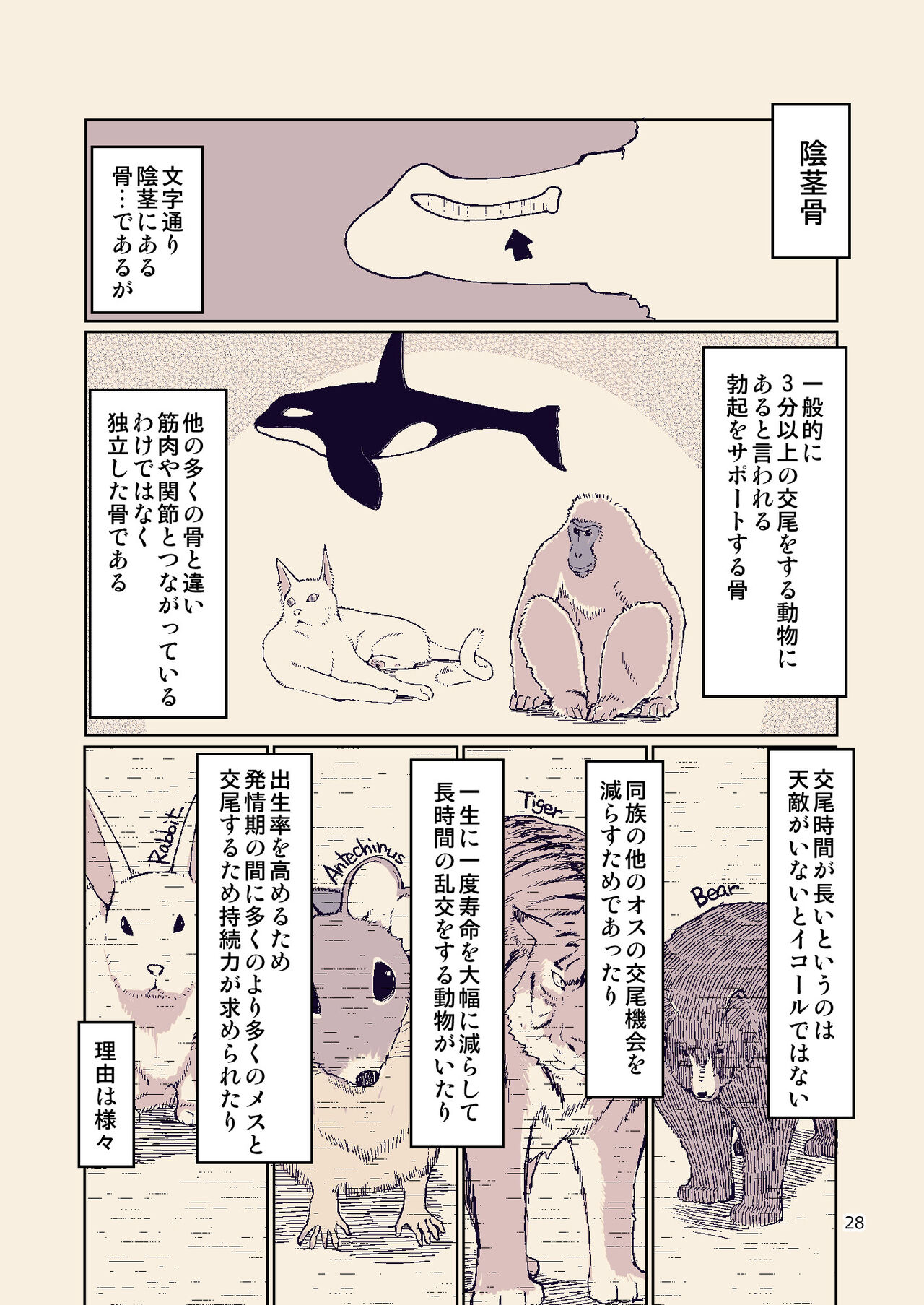 Dosukebe Elf no Ishukan Nikki 8 - Page 27