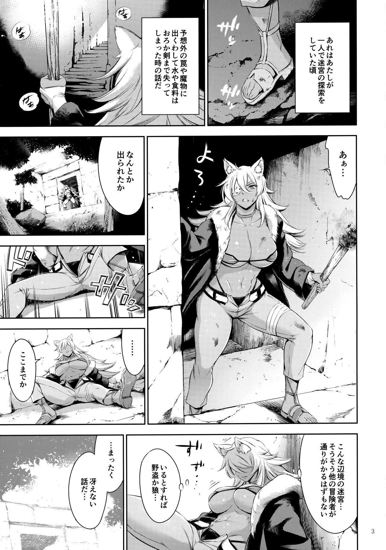 Preview page 2