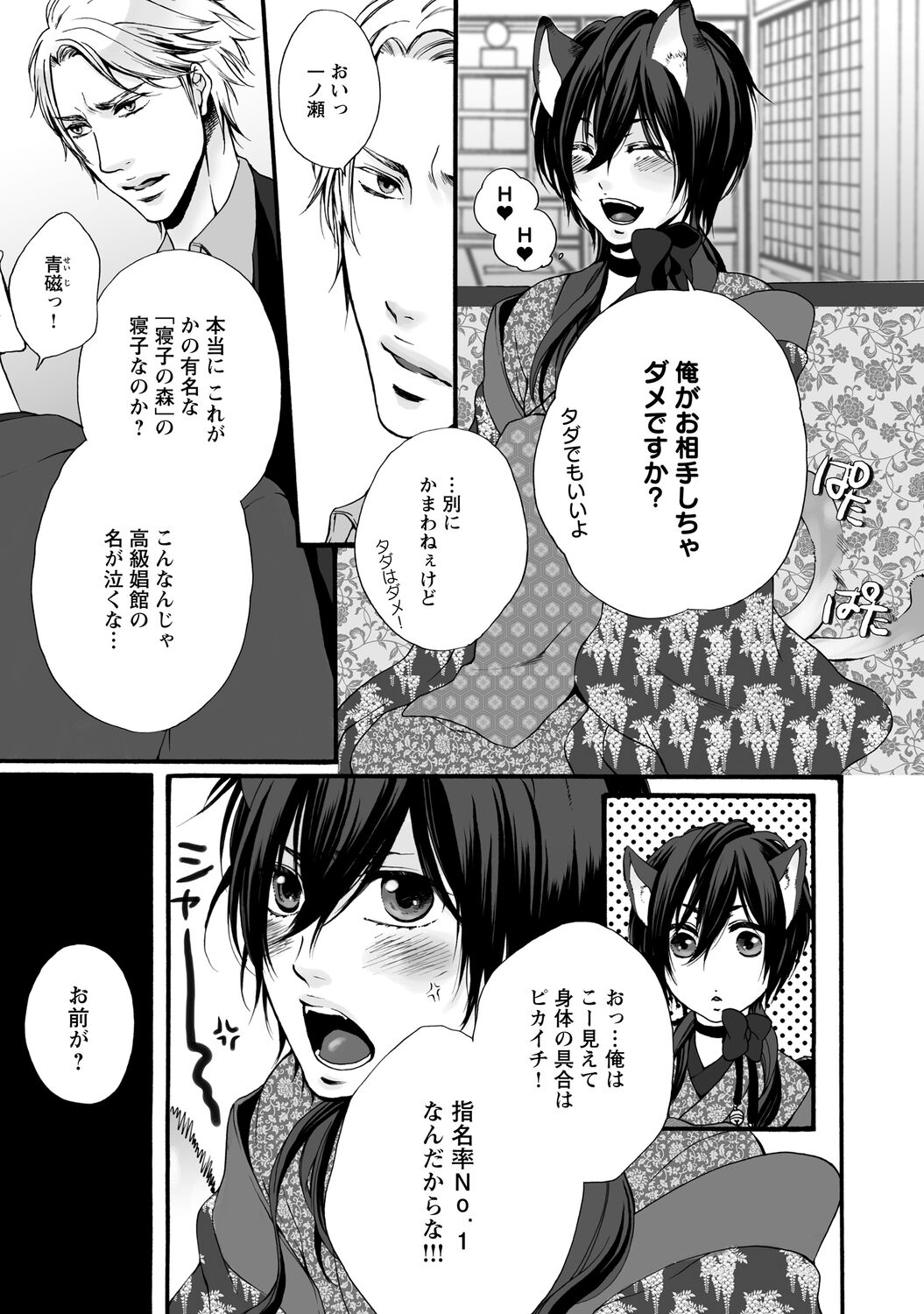 Aigan Neko no Yuuwaku - Page 13
