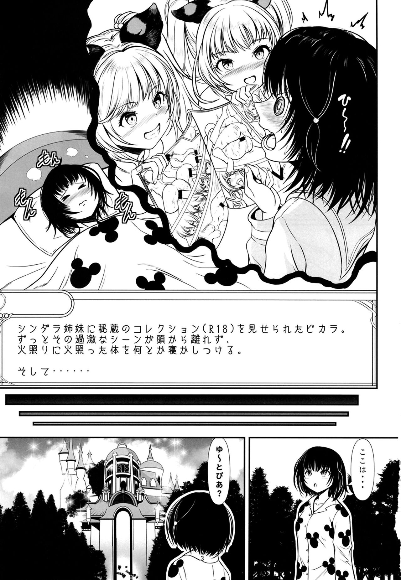 Preview page 2