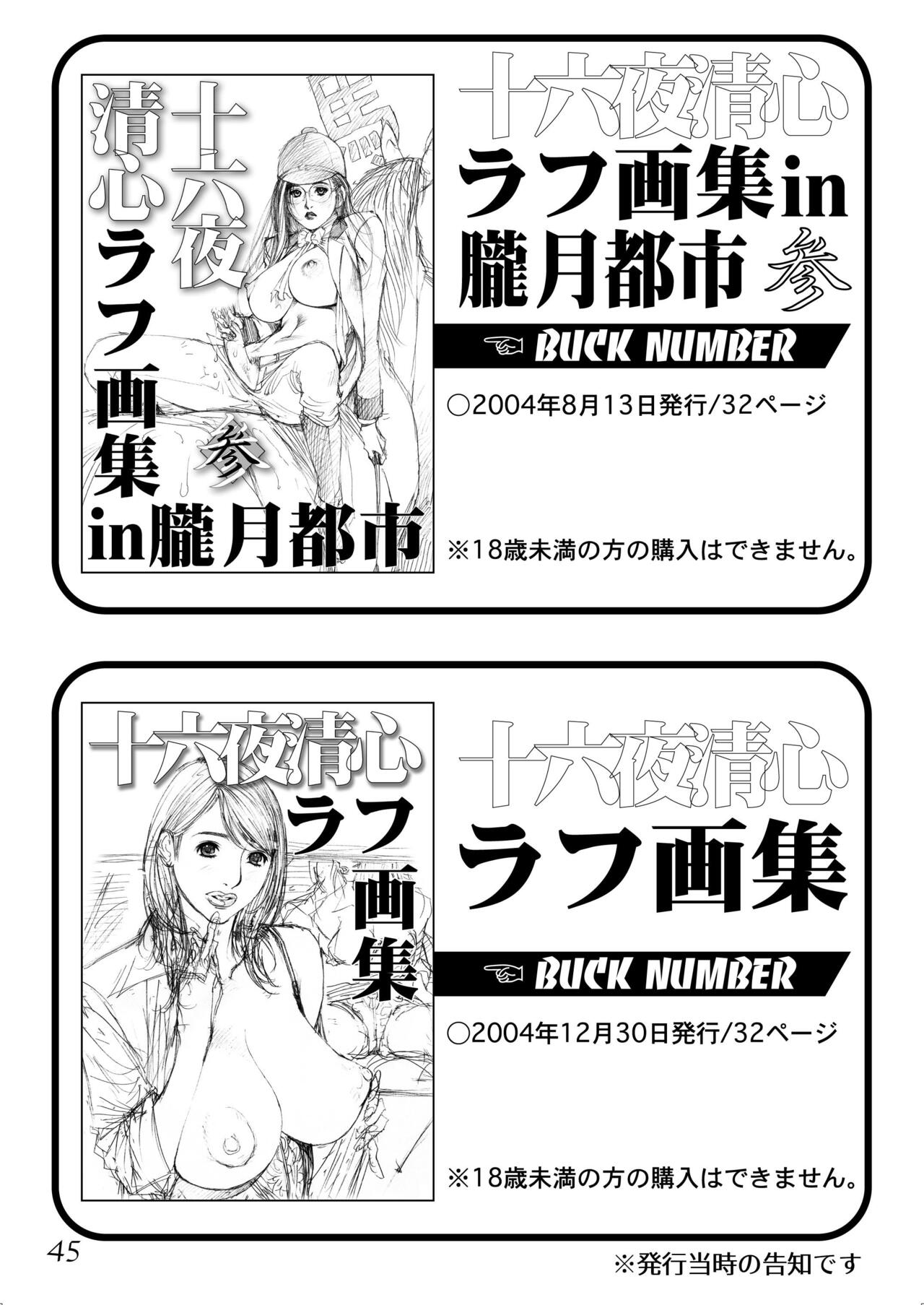 Izayoi Seishin Rough Gashuu in M-jo Senka 2 - Page 44