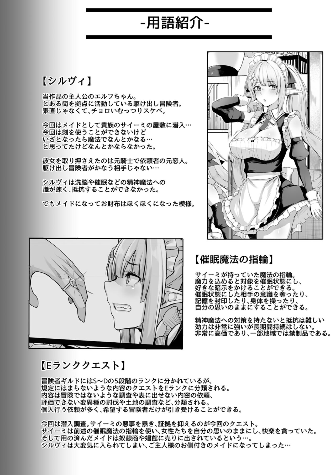 ELFIN QUEST #Maid Saimin Ryoujoku Hen - Page 31