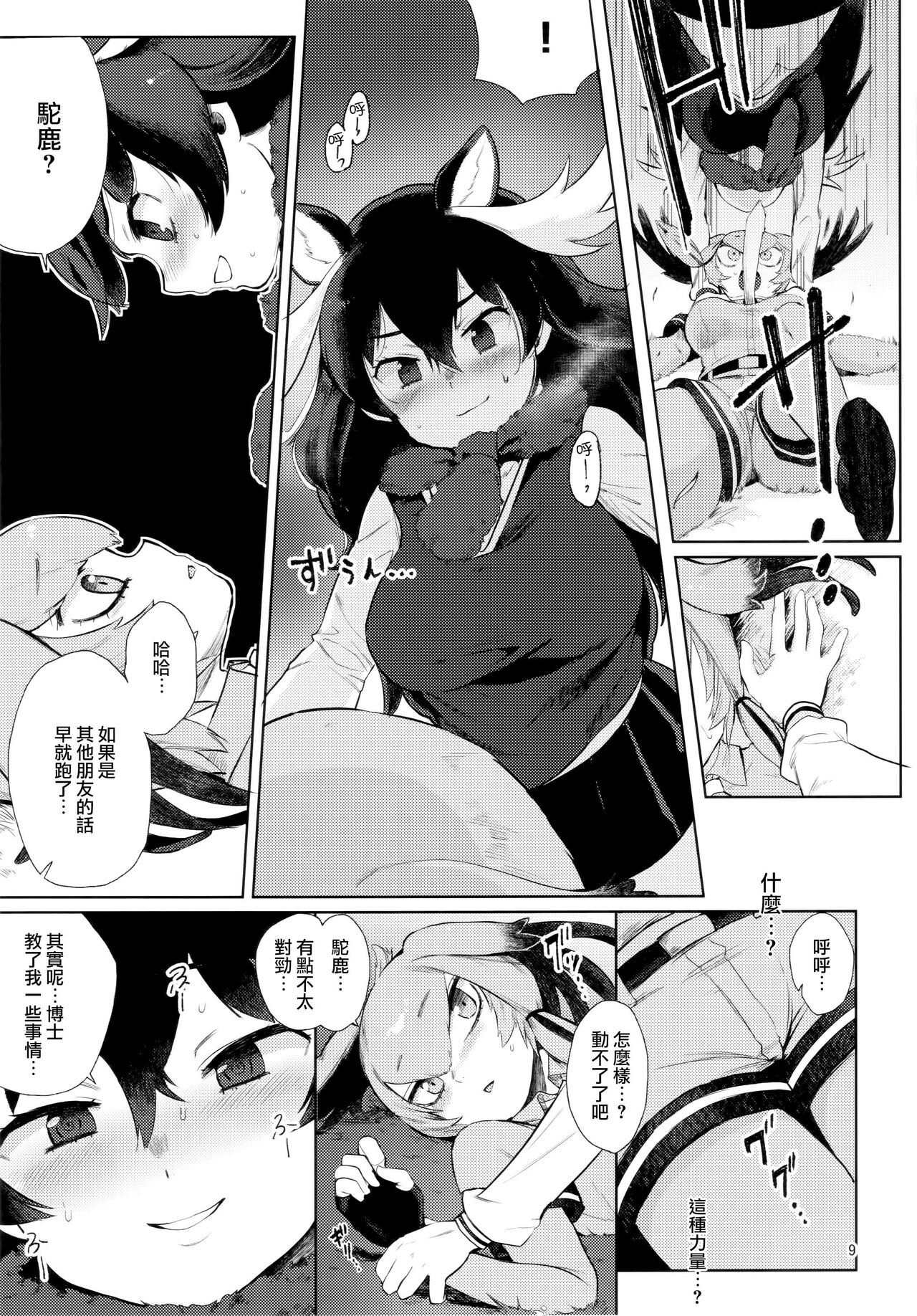 Preview page 8