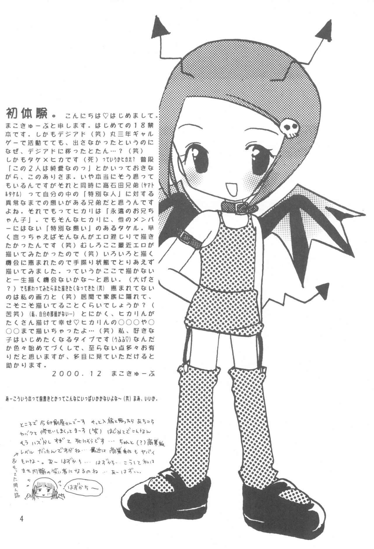 Hikari Mania - Page 3