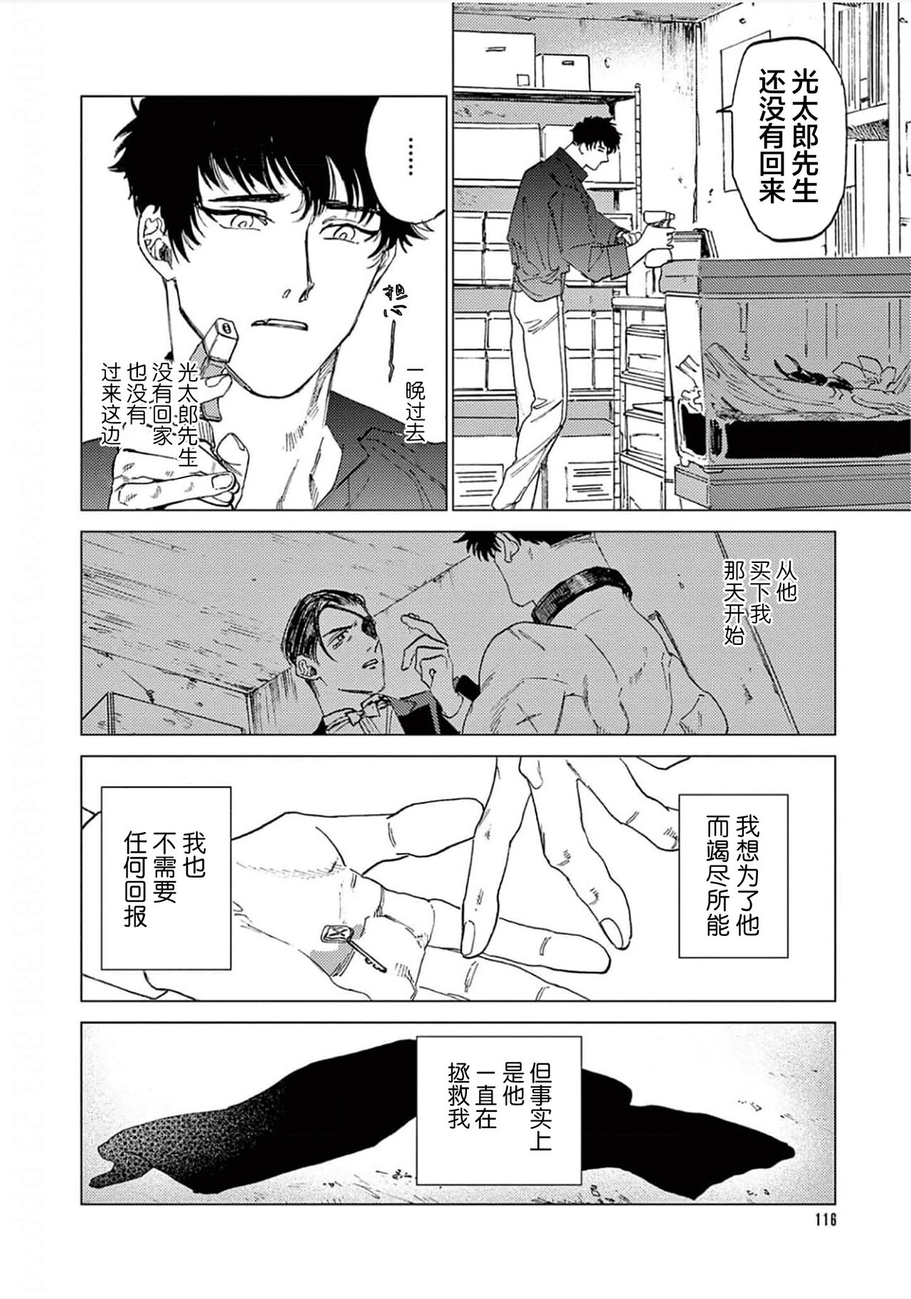 TOKYO Hikari Auction｜东京光之拍卖会 - Page 118