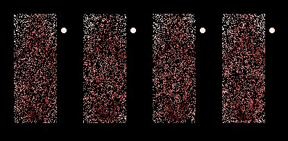Stop Strip - Page 41