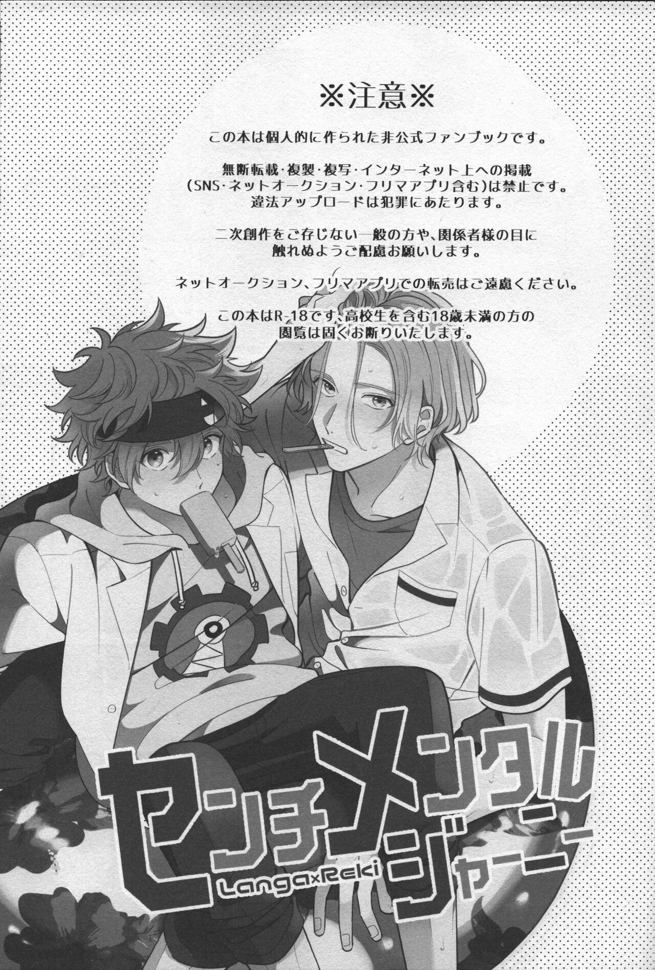 Preview page 2