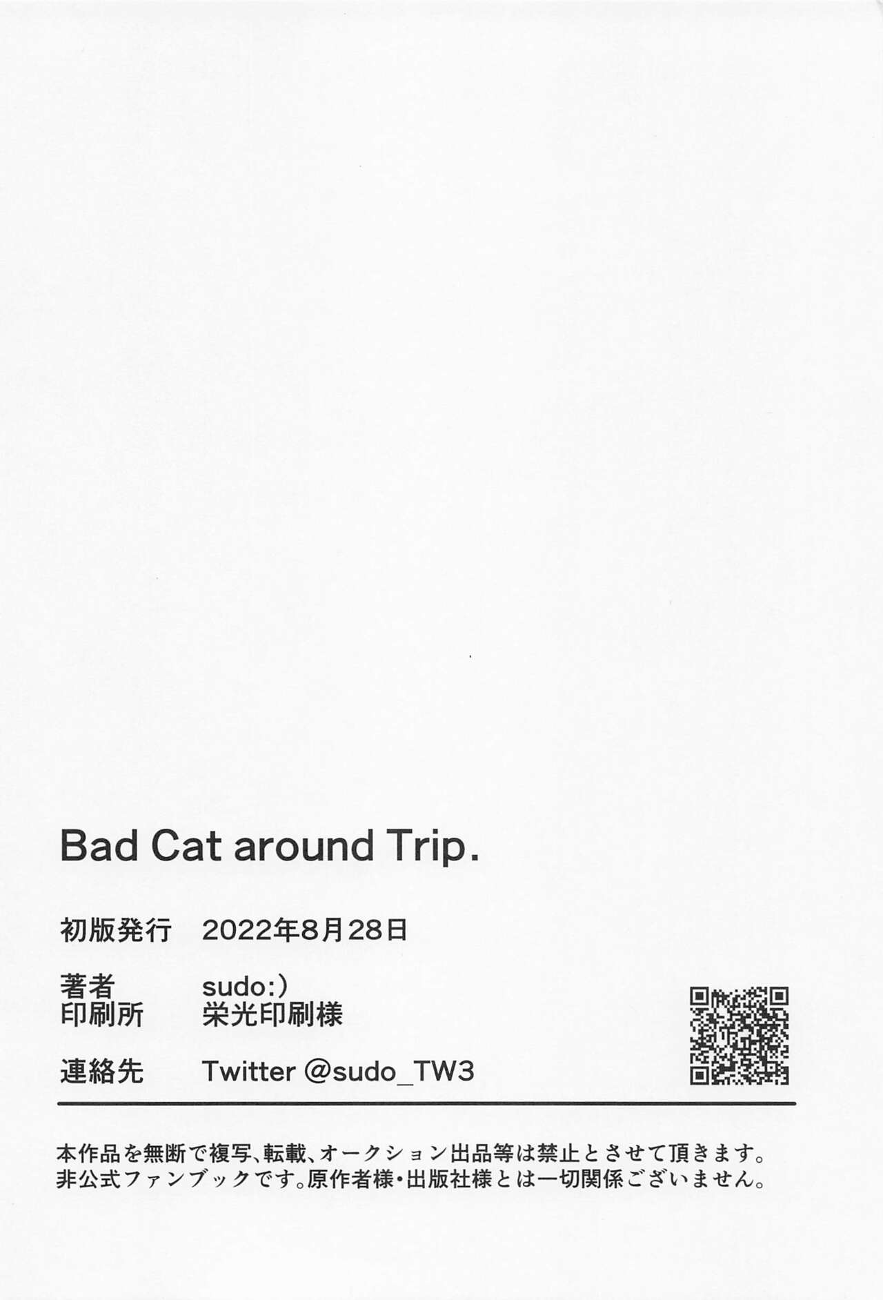Bat Cat arond Trip． - Page 32