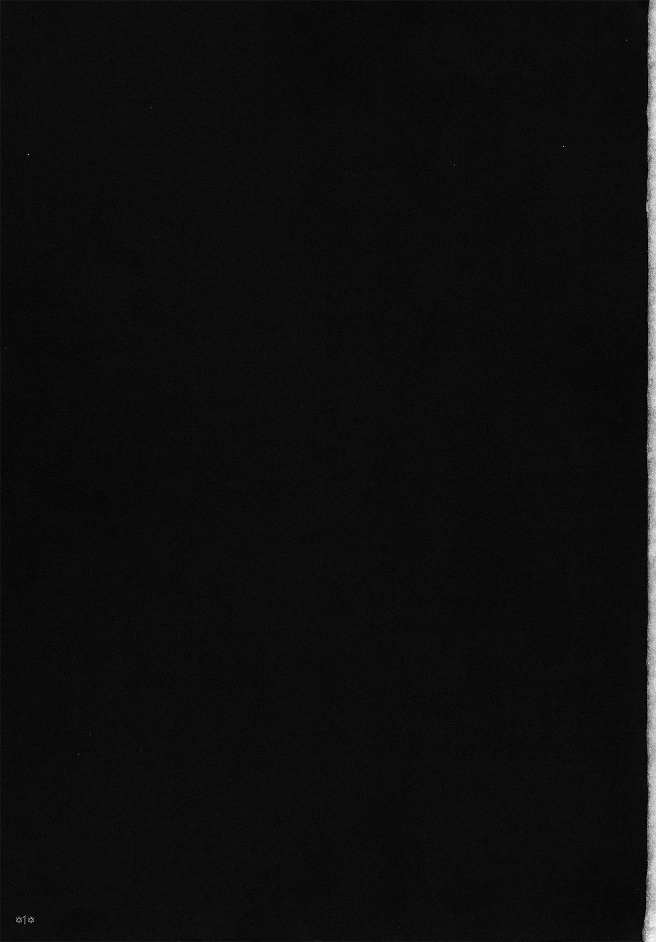 KARLSLAND ABSORB - Page 2