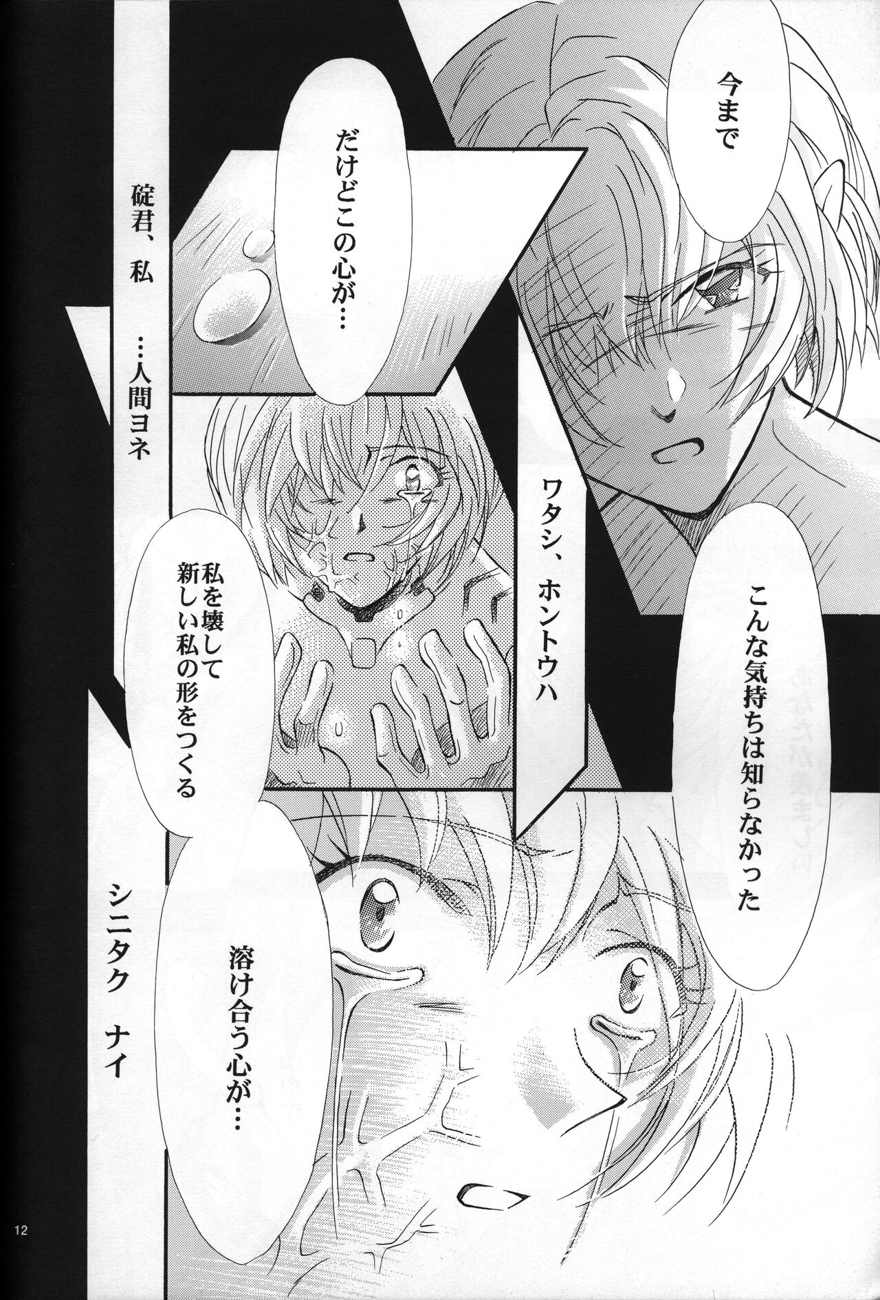 <Shinyaku> NEON GENESIS document R - Page 13