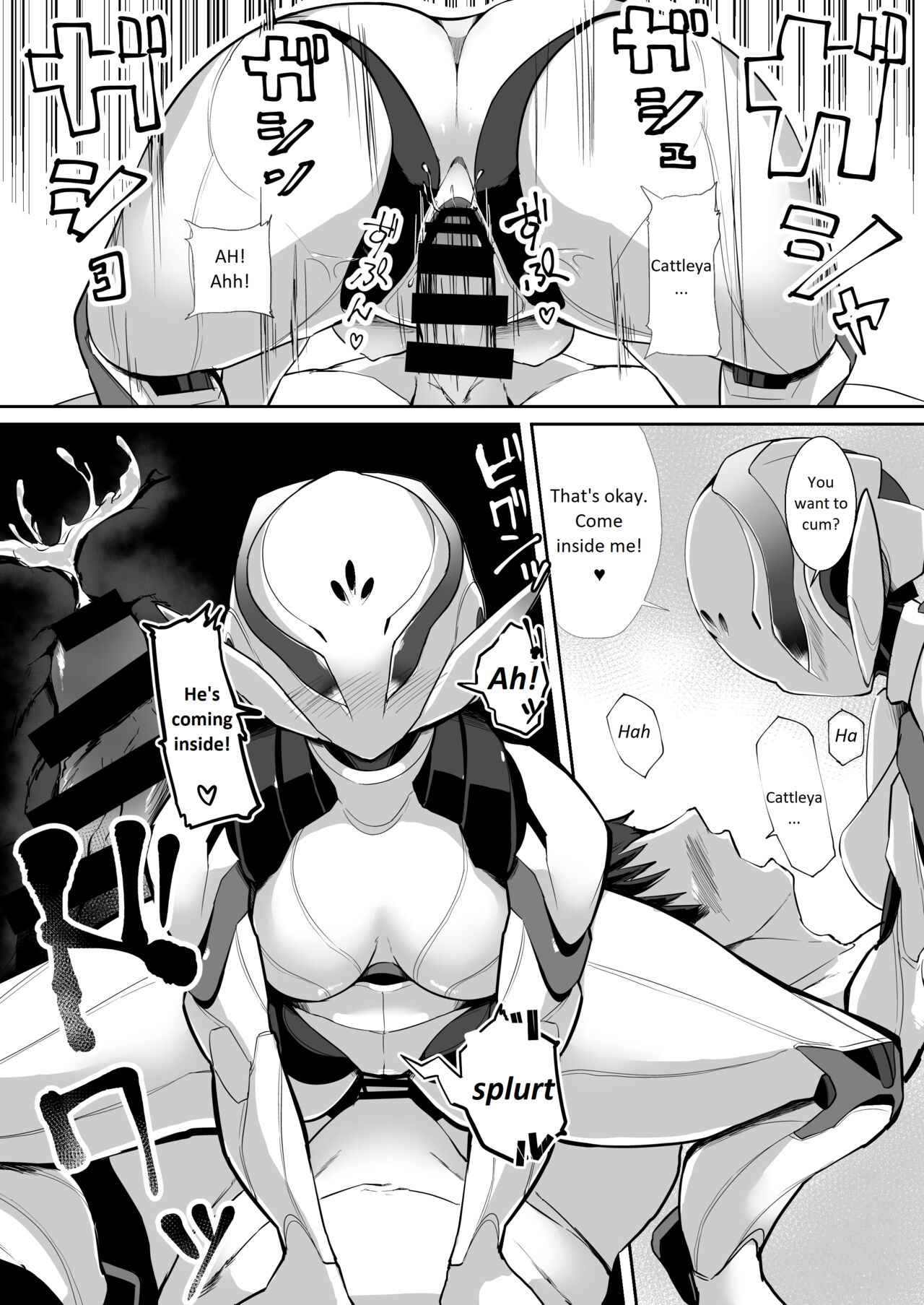 CATTLEYA - Page 12