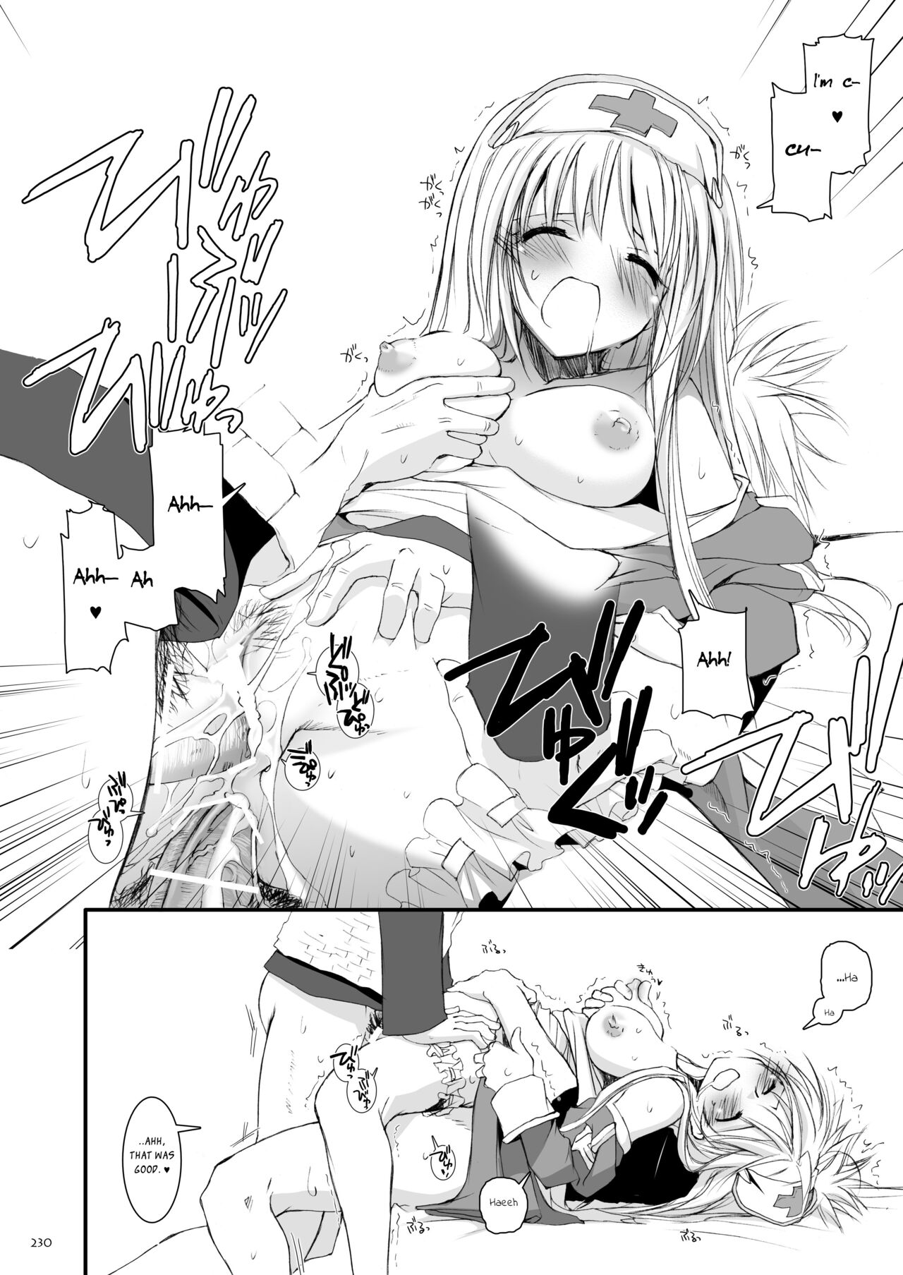 DL-RO Soushuuhen 04 - Page 231
