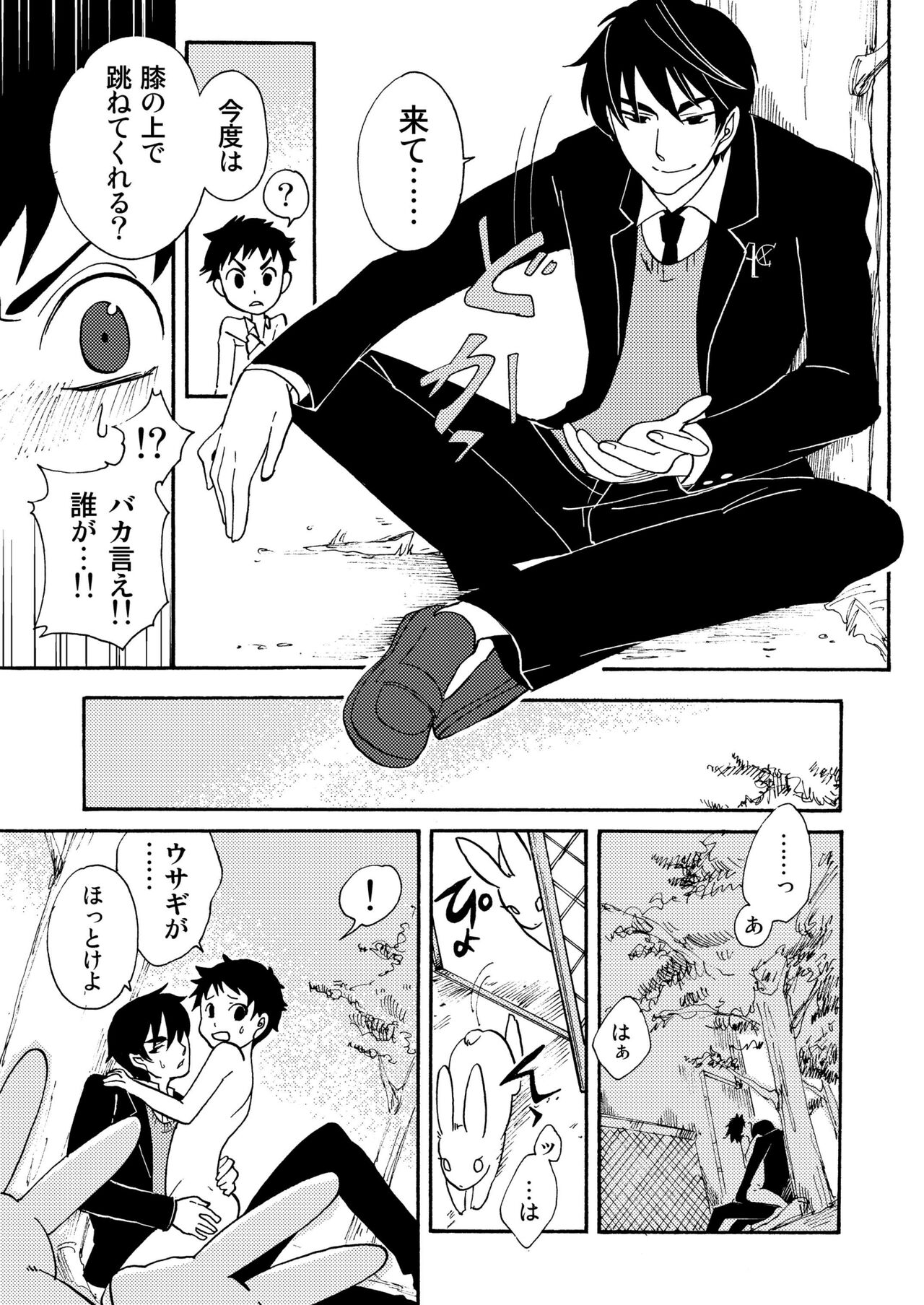 Usagi no Koe - Page 13