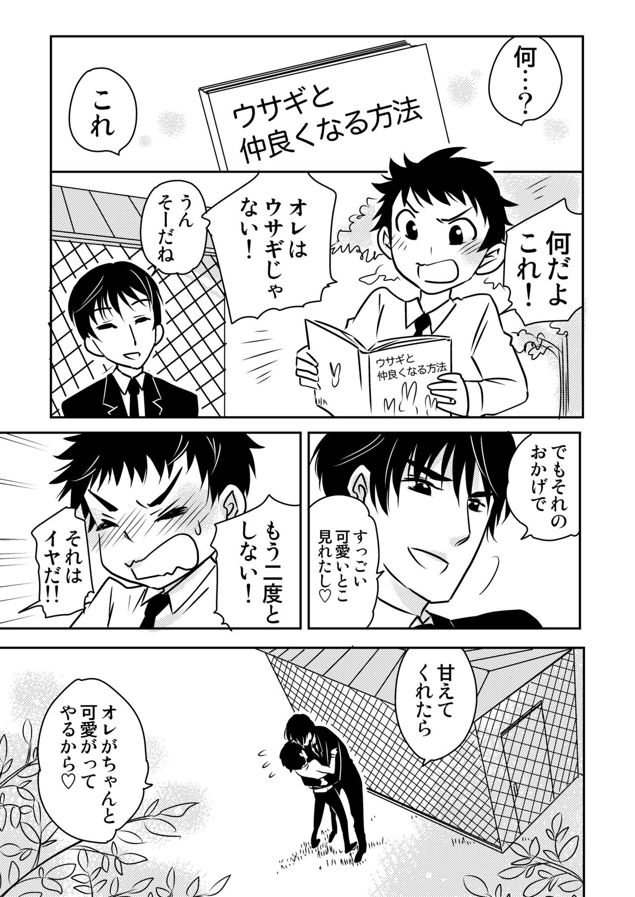 Usagi no Koe 3 - Page 27