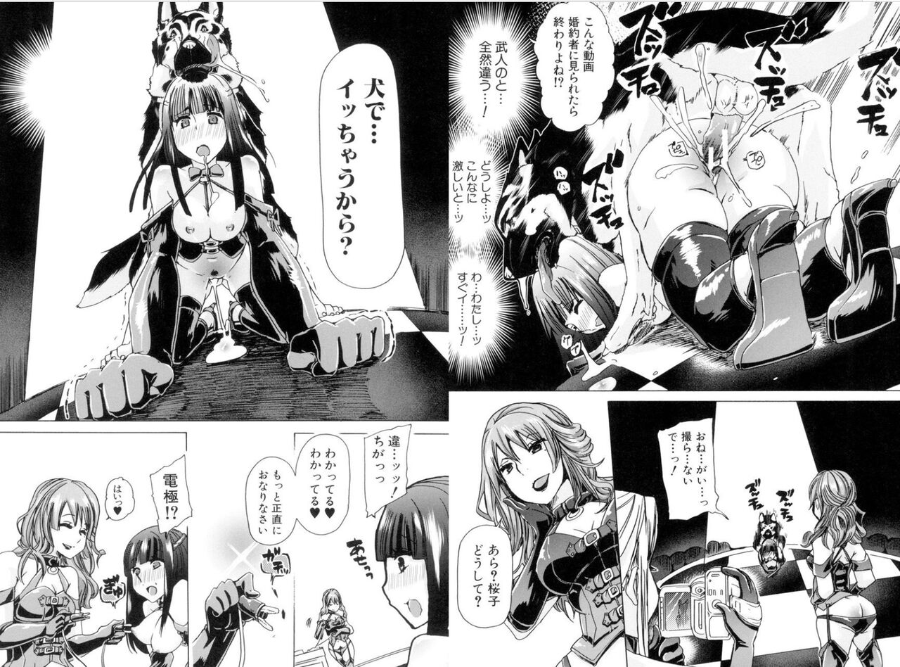 獣○肉便器「かすみ」 - Page 13