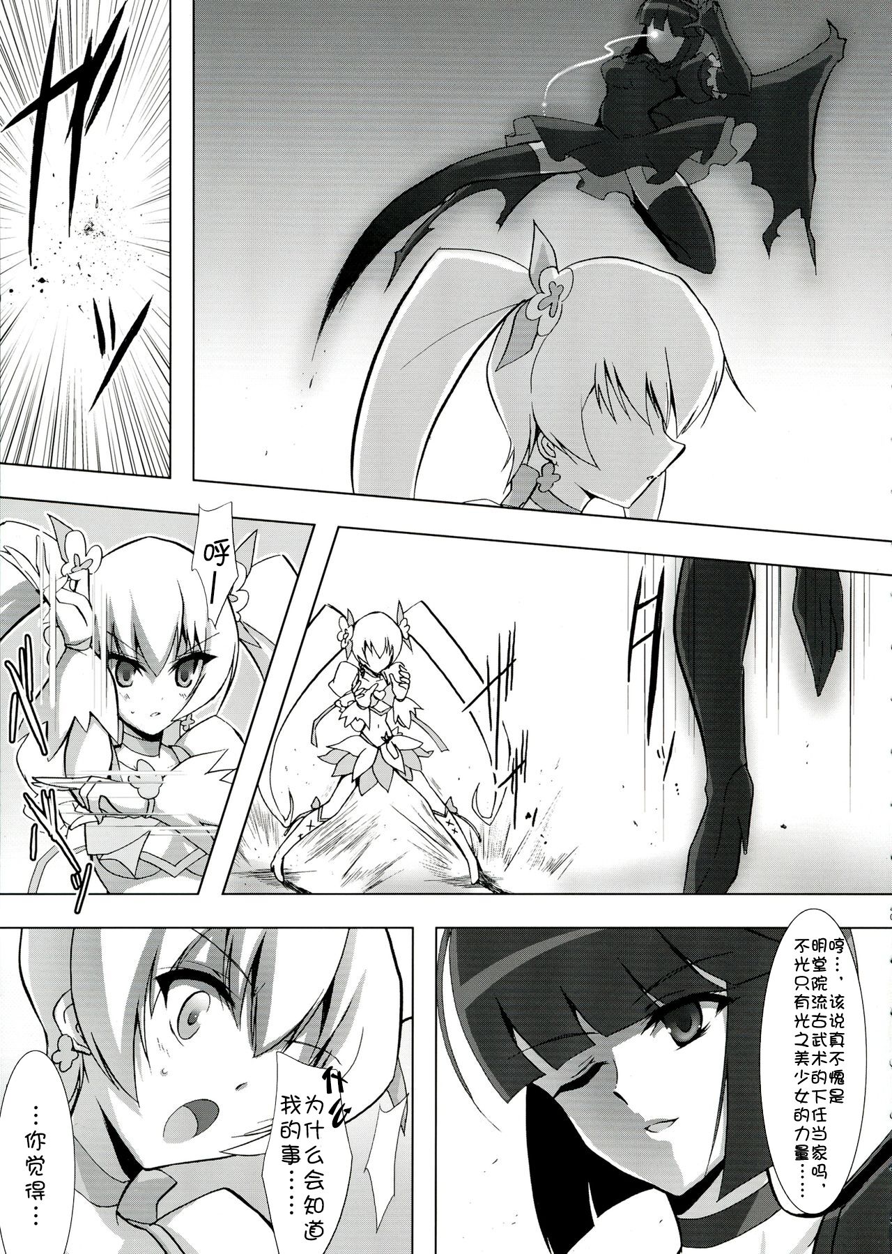 SILHOUETTE HEART 心的剪影 (HeartCatch Precure!)【Chinese】【个人汉化】 - Page 9