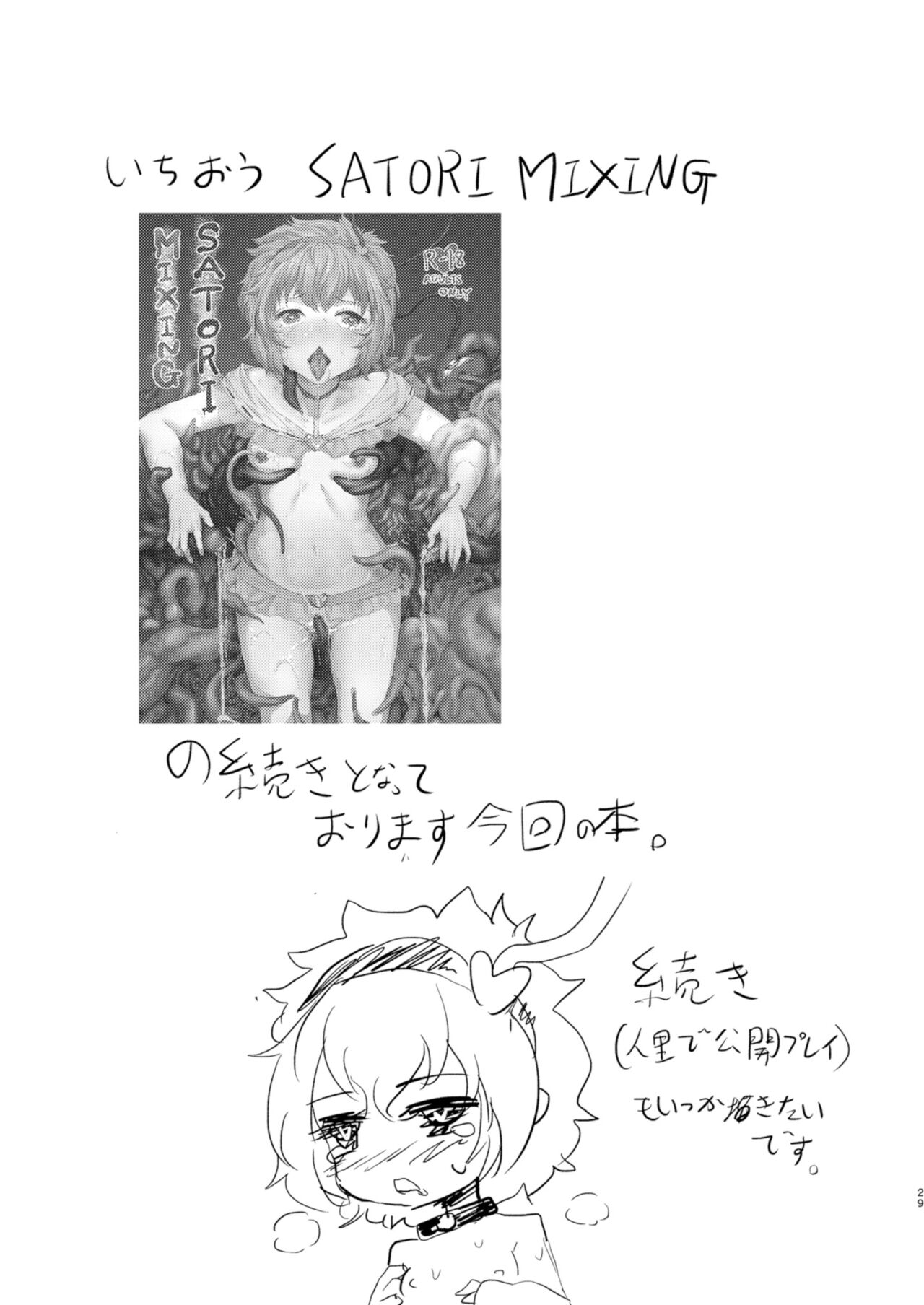 Satori EX TOY - Page 29