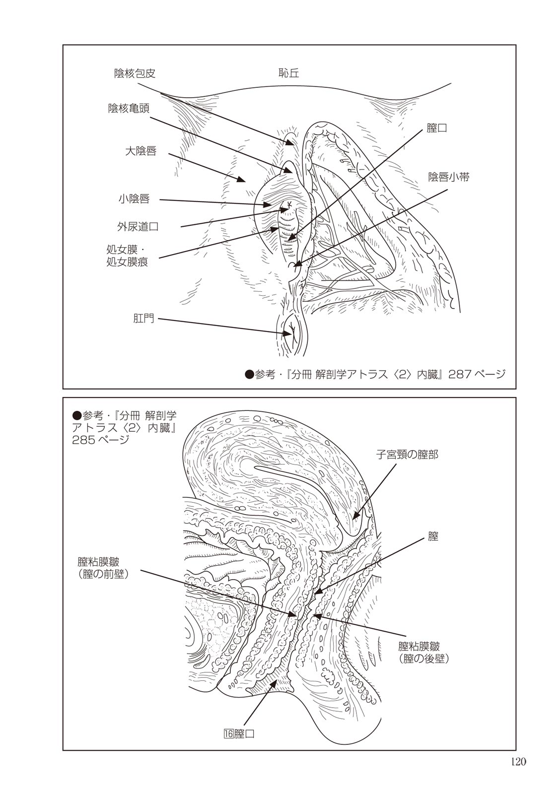 大人のお医者さんごっこ 検査・測定編 - Page 120