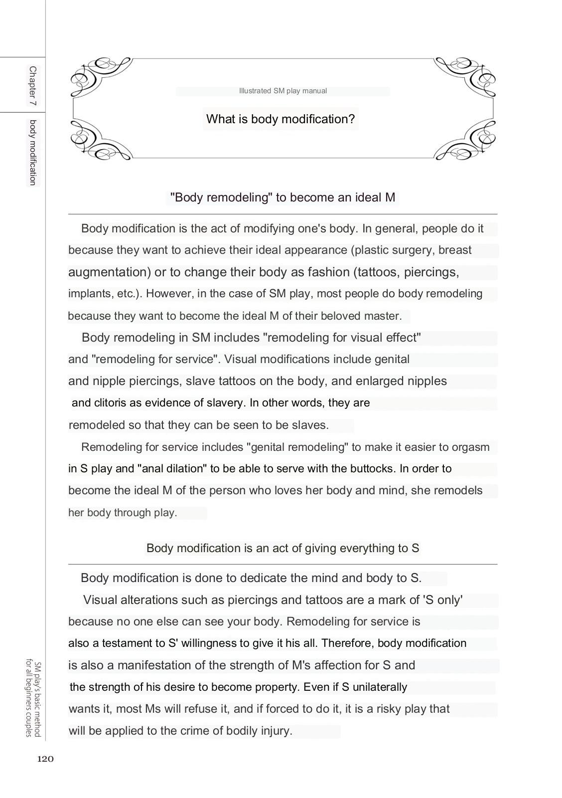 SM play manual - Page 118