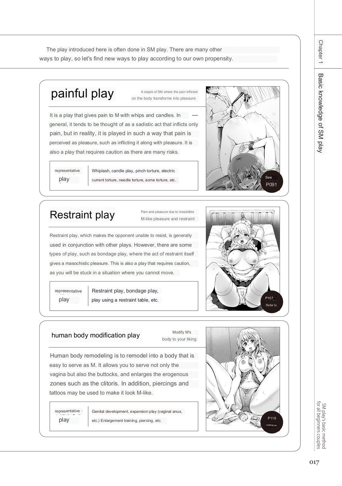 SM play manual - Page 15