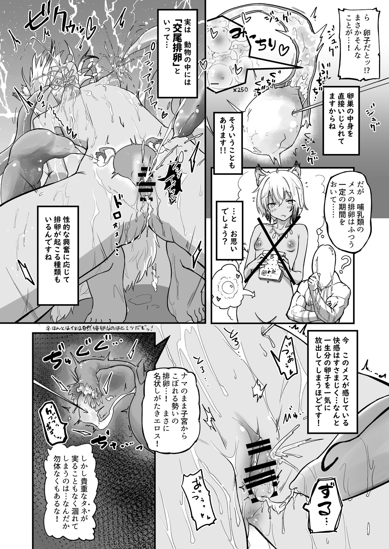 The Circle of Chippai Life! - Page 14