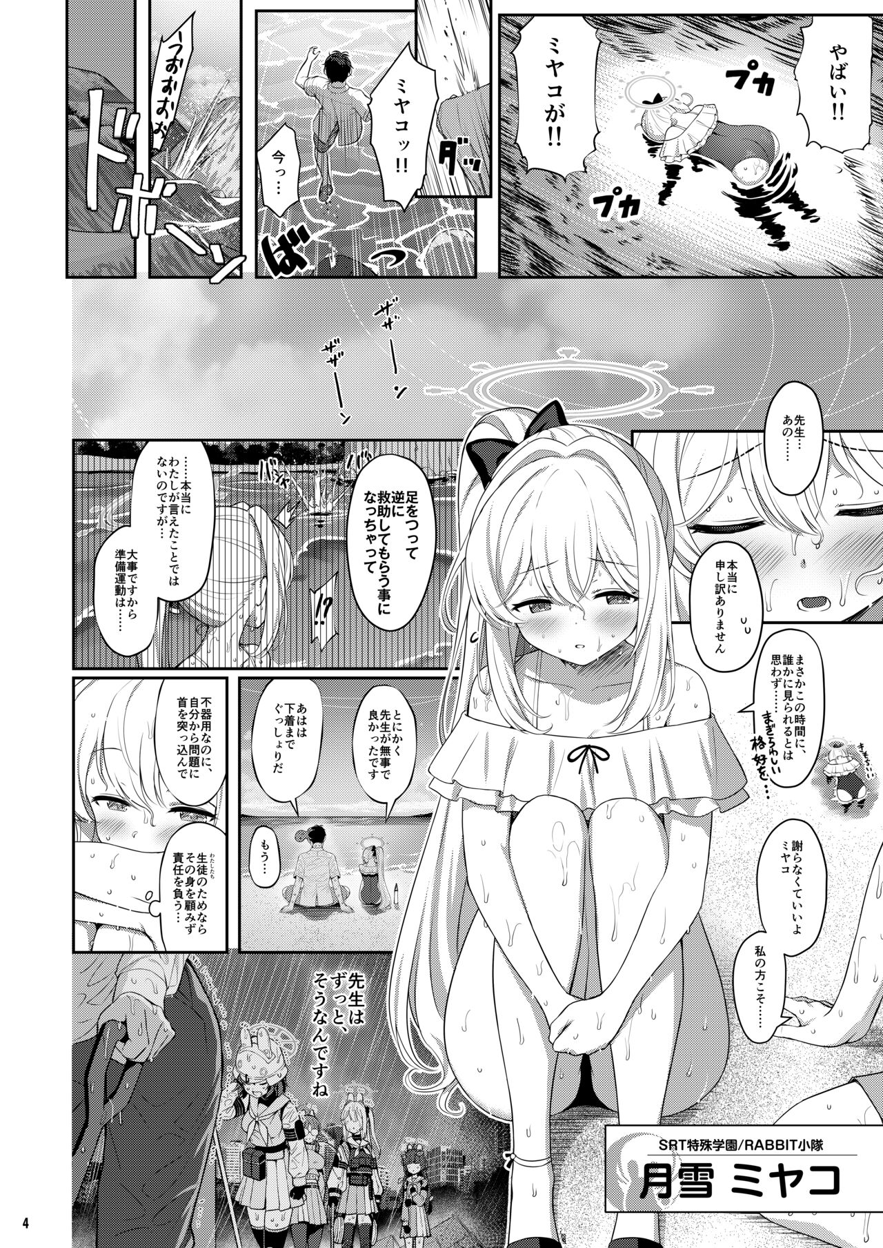 Preview page 3